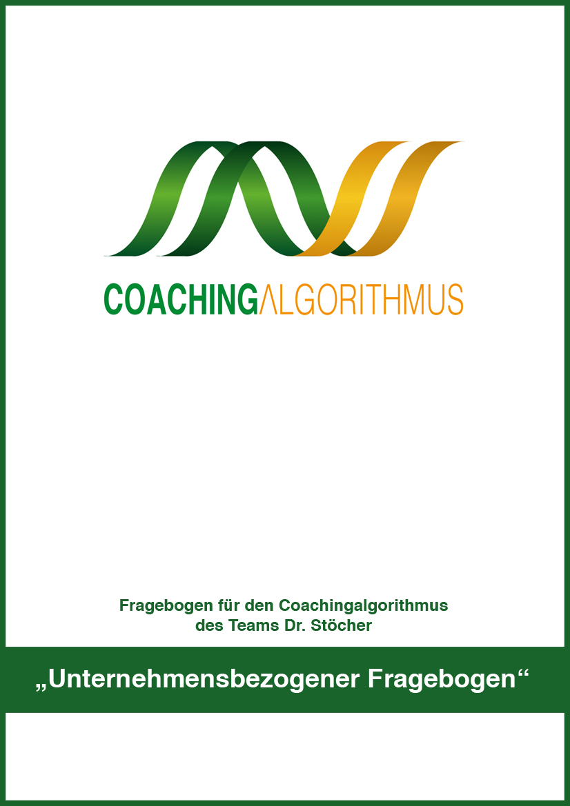 CA_Unternehmensbezogener_Fragebogen